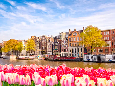 Netherlands Chapter